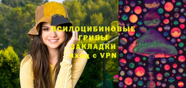 apvp Покровск